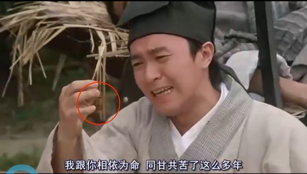 你脸上的面膜，可能是蟑螂做的