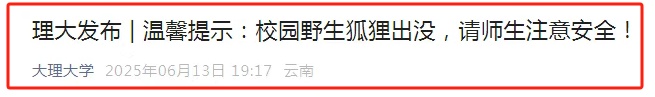 校园有野生狐狸出没！云南一高校发布提示