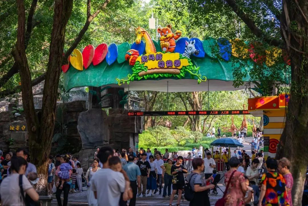 准考证别扔！大湾区各景区为高考考生们送福利