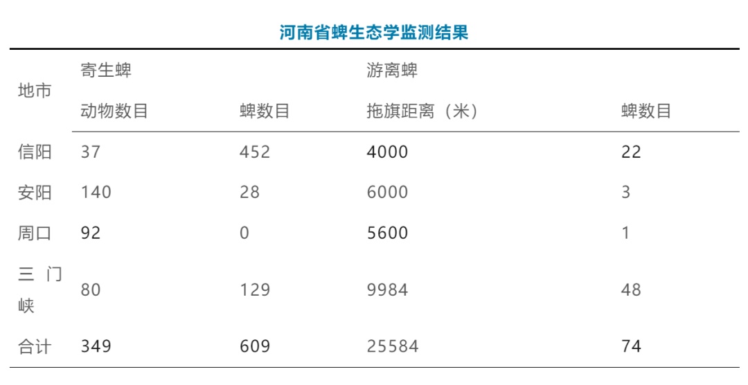 夺命“黑虫”出没,爬山逛公园要小心 夺命“黑虫”出没,爬山逛公园要小心