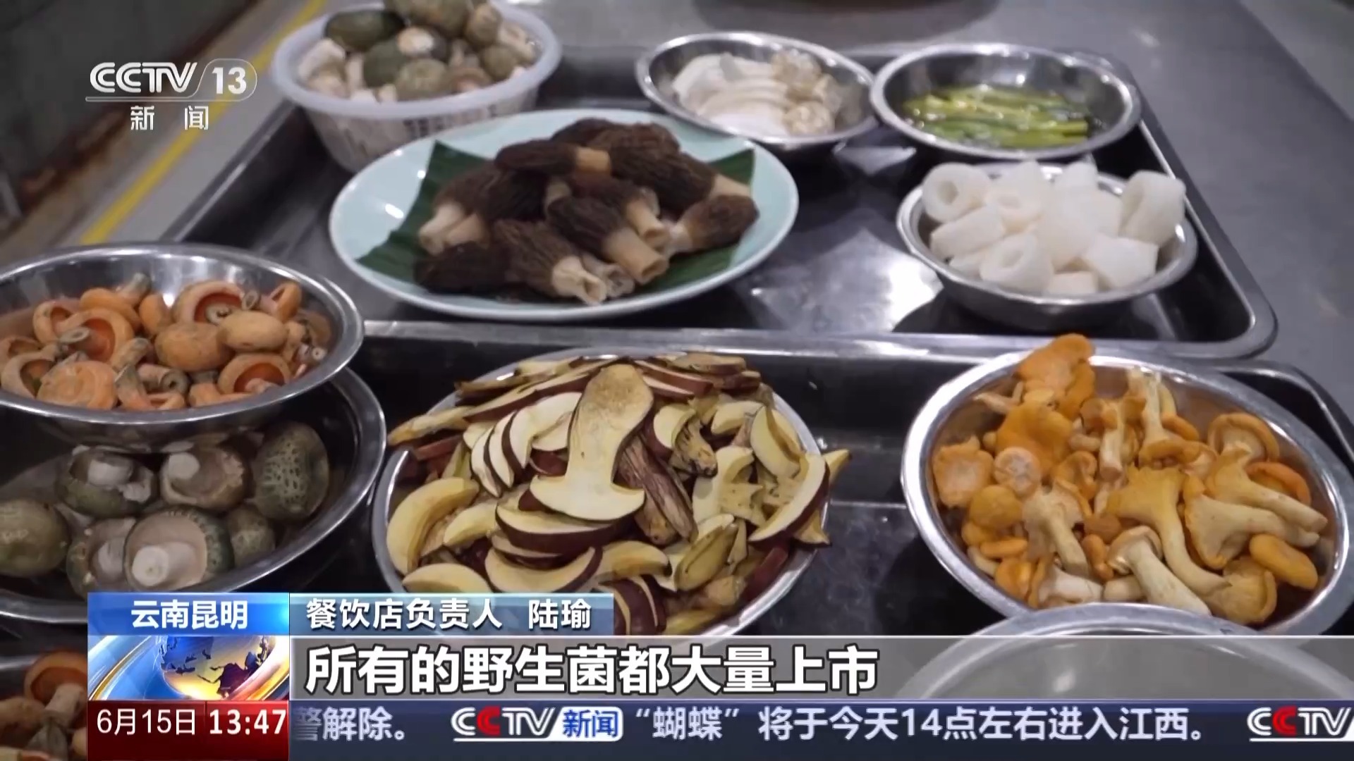 野生菌尝鲜季到啦 不想“躺板板”赶紧收藏这份指南