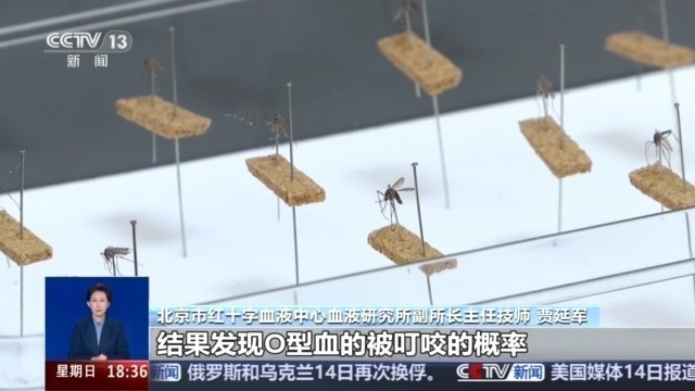 蚊子偏爱O型血？被蜱虫叮咬用火烧？别被这些谣言忽悠了