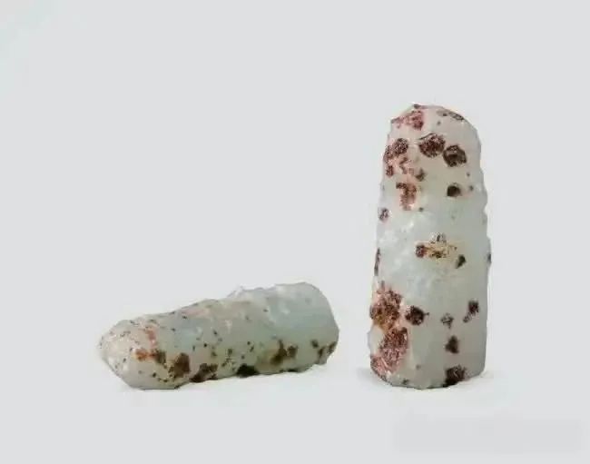 西安考古最新发现！