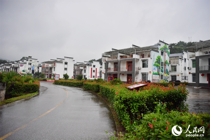 “见松如见人”!从未谋面的父亲,从未中断的对话 “见松如见人”!从未谋面的父亲,从未中断的对话