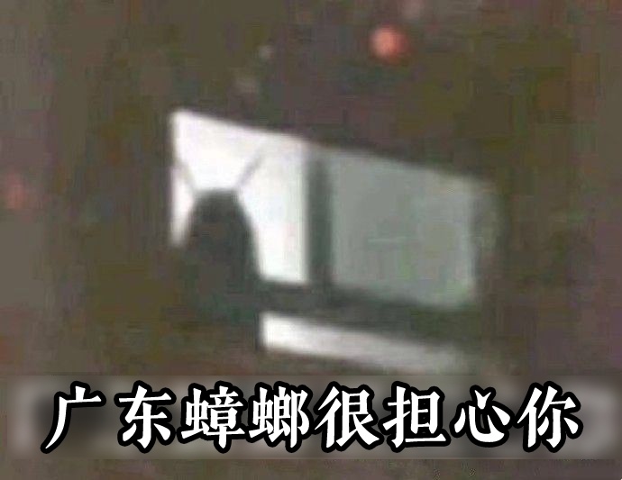 你脸上的面膜，可能是蟑螂做的