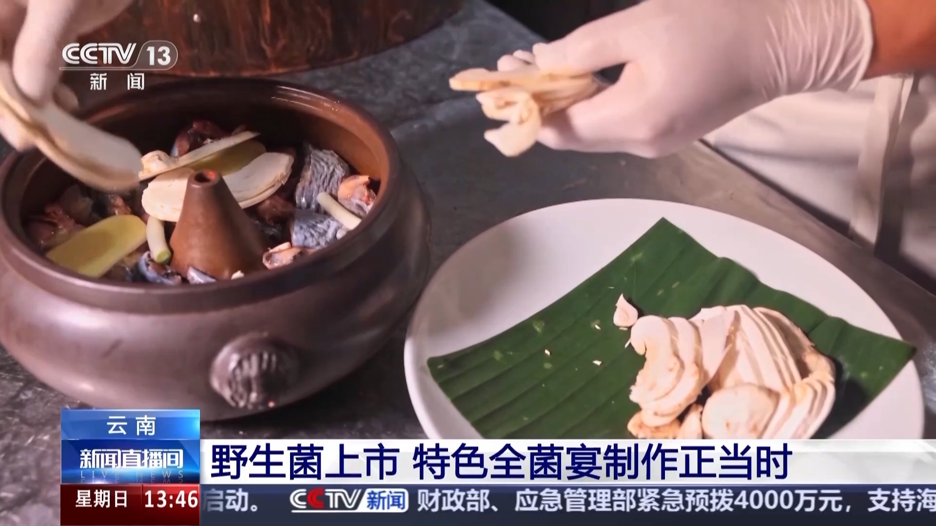 野生菌尝鲜季到啦 不想“躺板板”赶紧收藏这份指南