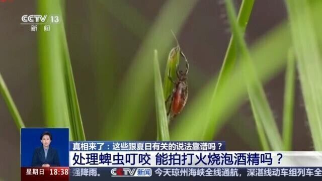 蚊子偏爱O型血？被蜱虫叮咬用火烧？别被这些谣言忽悠了