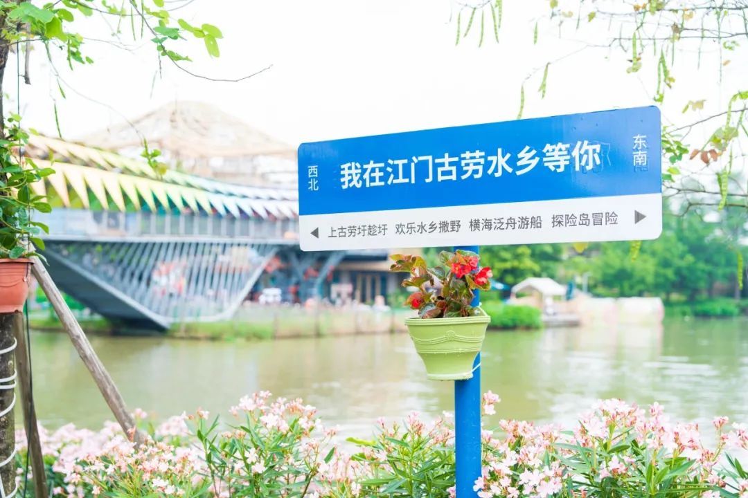 准考证别扔！大湾区各景区为高考考生们送福利