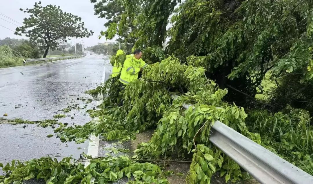 台风夜,东方市上演了一场风雨里的“生命接力”→ 台风夜,东方市上演了一场风雨里的“生命接力”→