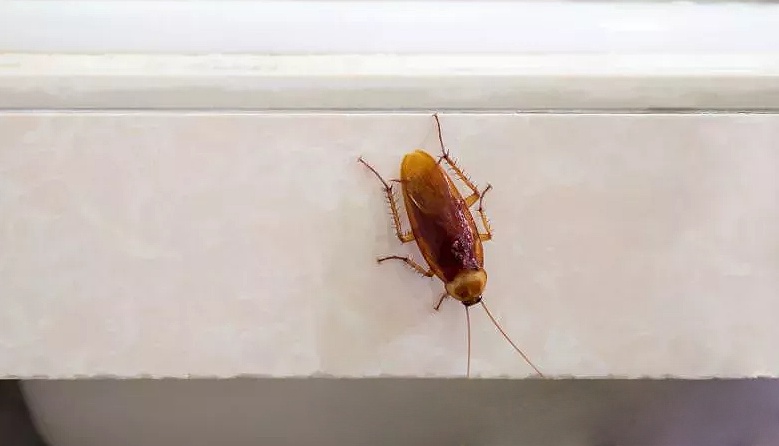 呼吸困难!福州女子被送医抢救!“元凶”几乎每家都有 呼吸困难!福州女子被送医抢救!“元凶”几乎每家都有