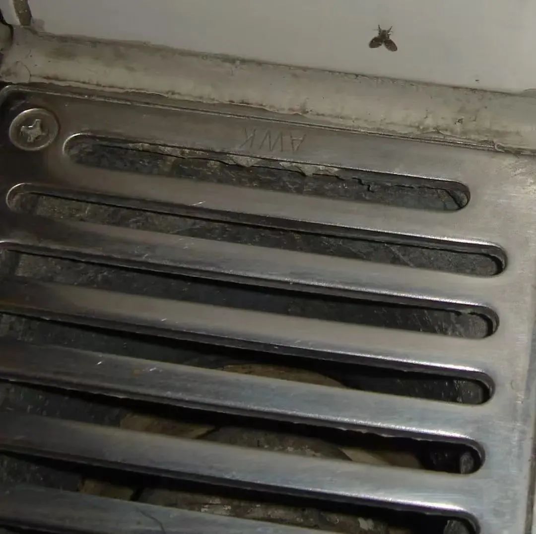 不少上海人家里都有！看到一只，说明已有很多（不是蟑螂）