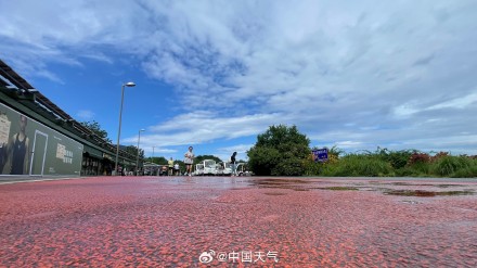 北京雨后蓝天惊艳登场 市民涌向奥森南园共享运动时光