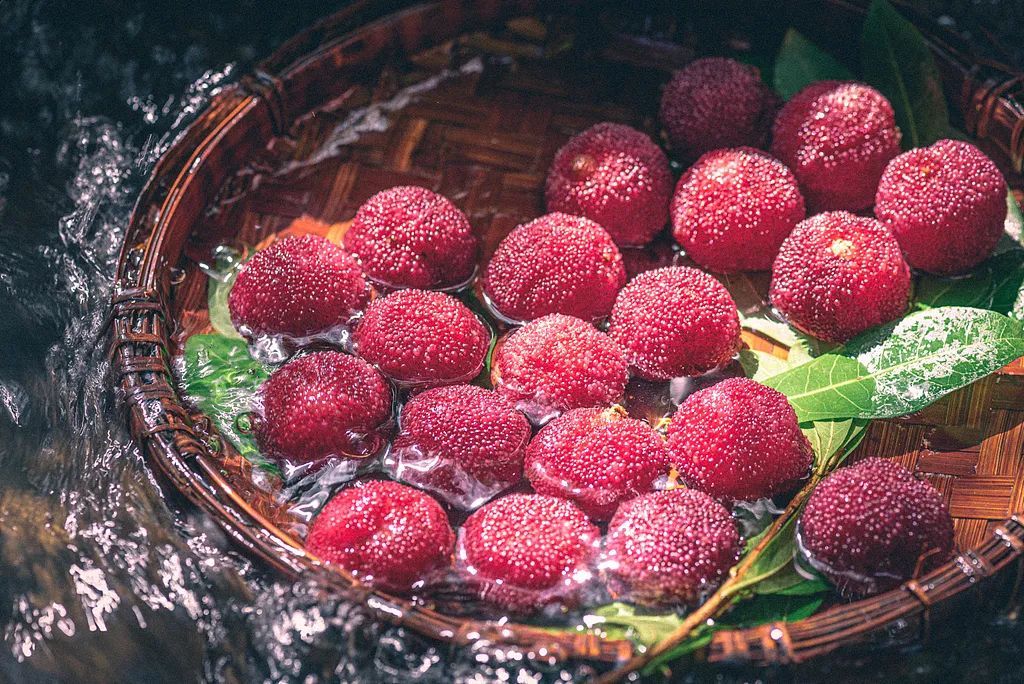 暴涨50%!最高超30元1颗不愁卖!但小心,有人吃到抢救 暴涨50%!最高超30元1颗不愁卖!但小心,有人吃到抢救