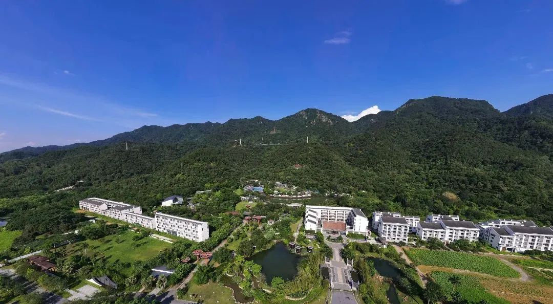 准考证别扔！大湾区各景区为高考考生们送福利