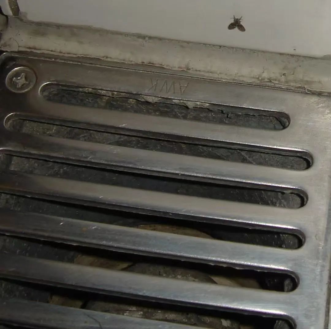 这种虫子(不是蟑螂)看到一只,说明你家里已有很多只了! 这种虫子(不是蟑螂)看到一只,说明你家里已有很多只了!