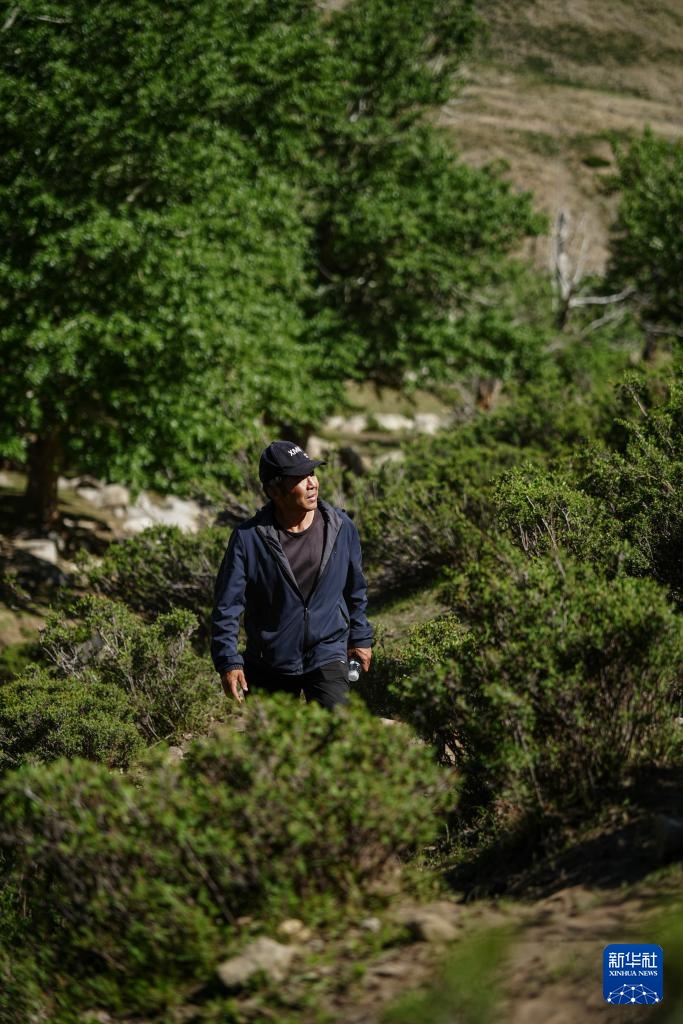 十里山路丈量初心 八载守护传承文明