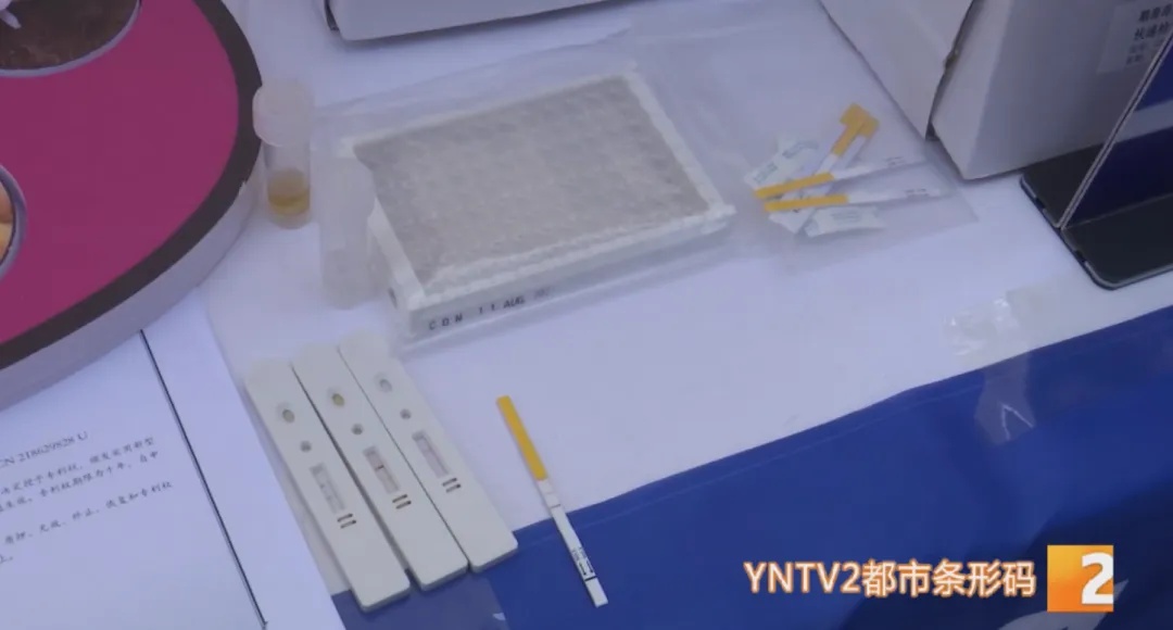 50克就能致命!担心误食鹅膏菌?这种验毒“神器”来啦! 50克就能致命!担心误食鹅膏菌?这种验毒“神器”来啦!