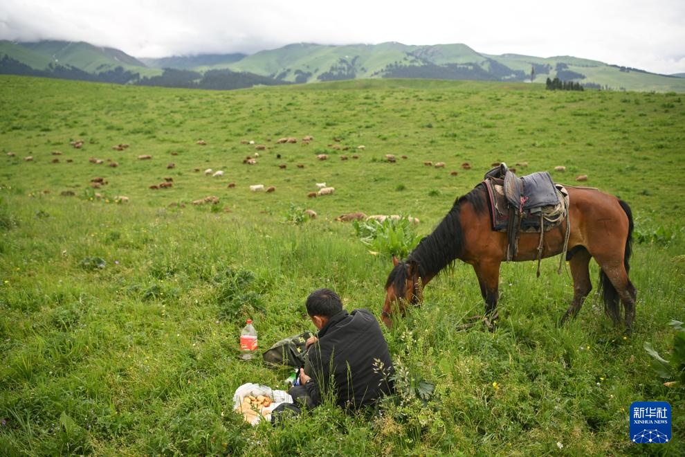 转场天山下 转场天山下