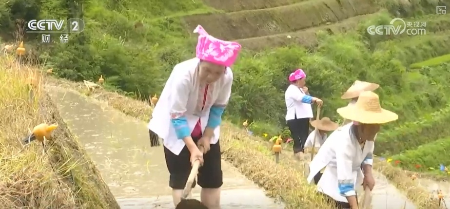 千年农耕文化尽显焕新魅力 民俗节庆点燃游客热情 撬动消费热潮 千年农耕文化尽显焕新魅力 民俗节庆点燃游客热情 撬动消费热潮