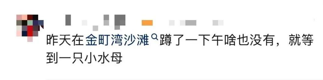 广东多地海滩现大量海鲜！很多人提桶去捡，官方重要提醒