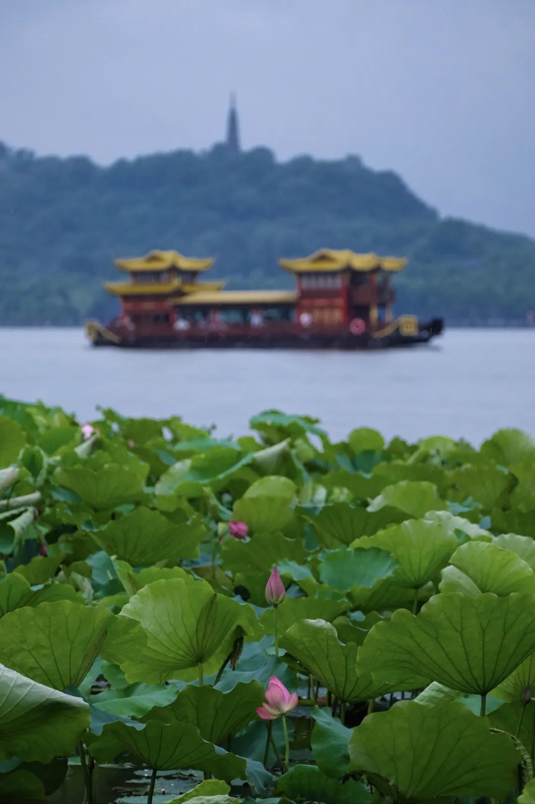 暴涨40%!杭州大反转!更猛的在后头 暴涨40%!杭州大反转!更猛的在后头