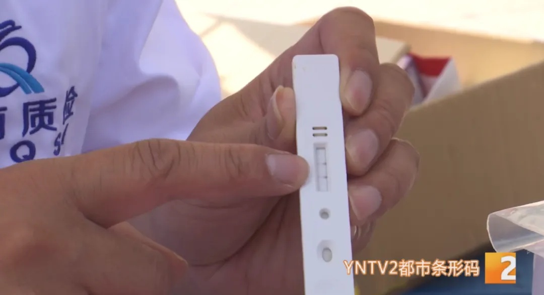 50克就能致命!担心误食鹅膏菌?这种验毒“神器”来啦! 50克就能致命!担心误食鹅膏菌?这种验毒“神器”来啦!