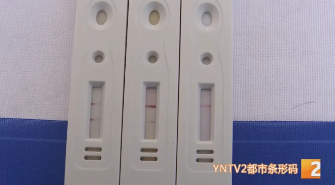 50克就能致命!担心误食鹅膏菌?这种验毒“神器”来啦! 50克就能致命!担心误食鹅膏菌?这种验毒“神器”来啦!