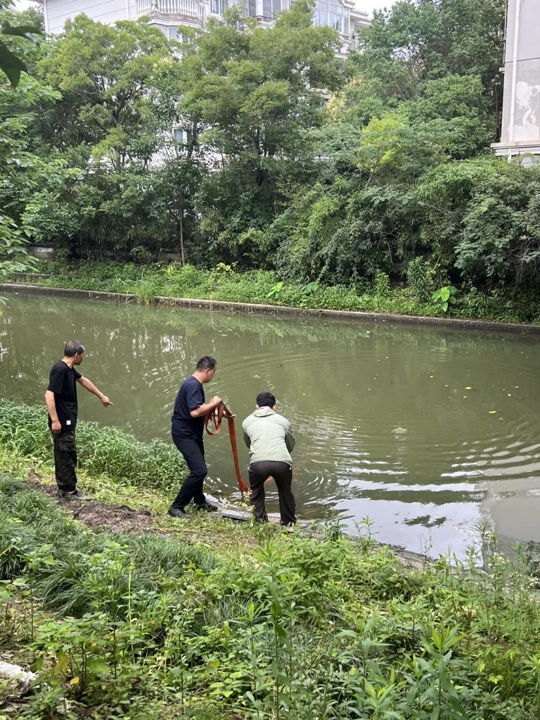事发上海松江!空调维修工父子用一根安全绳救起坠河夫妻 事发上海松江!空调维修工父子用一根安全绳救起坠河夫妻