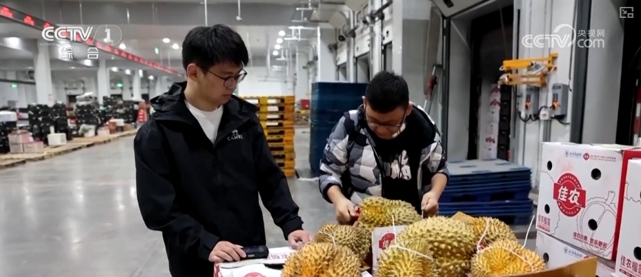 冷链物流迈入“高速时代” 消费者感受瓜果“才下枝头就上舌头”极致体验 冷链物流迈入“高速时代” 消费者感受瓜果“才下枝头就上舌头”极致体验