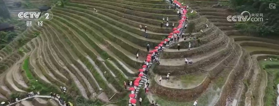 千年农耕文化尽显焕新魅力 民俗节庆点燃游客热情 撬动消费热潮 千年农耕文化尽显焕新魅力 民俗节庆点燃游客热情 撬动消费热潮