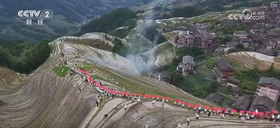 千年农耕文化尽显焕新魅力 民俗节庆点燃游客热情 撬动消费热潮 千年农耕文化尽显焕新魅力 民俗节庆点燃游客热情 撬动消费热潮