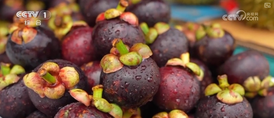 冷链物流迈入“高速时代” 消费者感受瓜果“才下枝头就上舌头”极致体验 冷链物流迈入“高速时代” 消费者感受瓜果“才下枝头就上舌头”极致体验