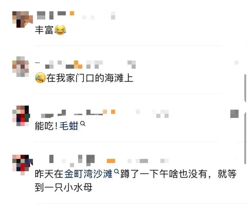 根本捡不完！台风过后，深圳一海滩惊现大量海鲜→