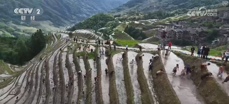 千年农耕文化尽显焕新魅力 民俗节庆点燃游客热情 撬动消费热潮 千年农耕文化尽显焕新魅力 民俗节庆点燃游客热情 撬动消费热潮