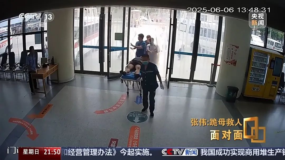 面对母亲苦苦哀求,他深情一跪,再次转身游向河中 面对母亲苦苦哀求,他深情一跪,再次转身游向河中