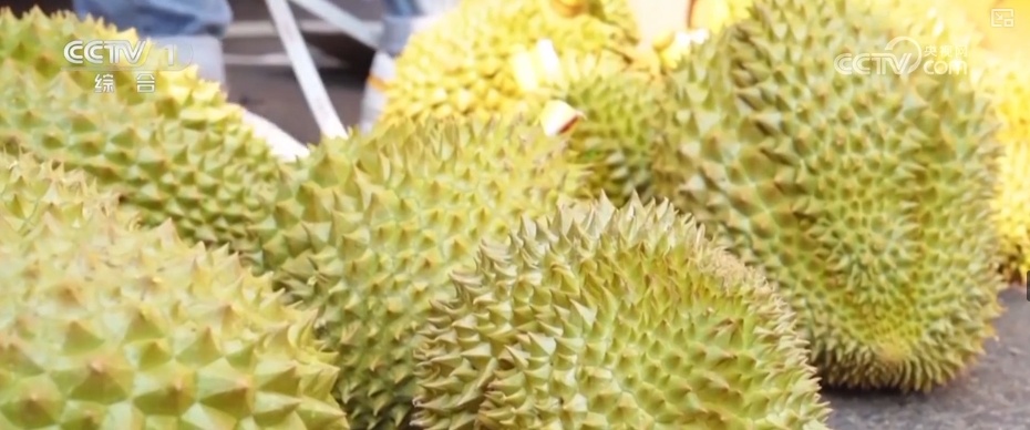冷链物流迈入“高速时代” 消费者感受瓜果“才下枝头就上舌头”极致体验 冷链物流迈入“高速时代” 消费者感受瓜果“才下枝头就上舌头”极致体验