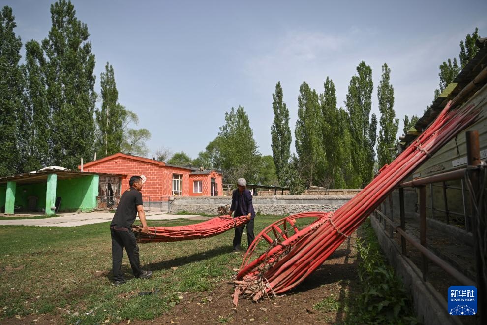 转场天山下 转场天山下