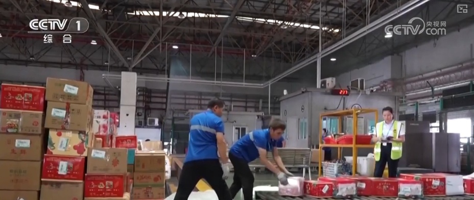 冷链物流迈入“高速时代” 消费者感受瓜果“才下枝头就上舌头”极致体验 冷链物流迈入“高速时代” 消费者感受瓜果“才下枝头就上舌头”极致体验