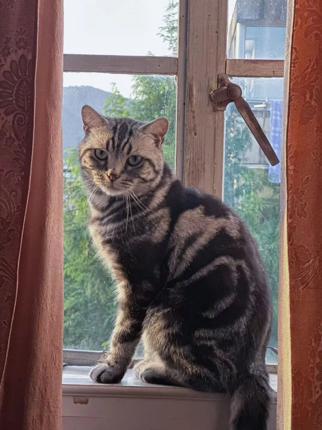 已进入高发期!有人被咬伤!一旦发病,致死率几乎为100% 已进入高发期!有人被咬伤!一旦发病,致死率几乎为100%