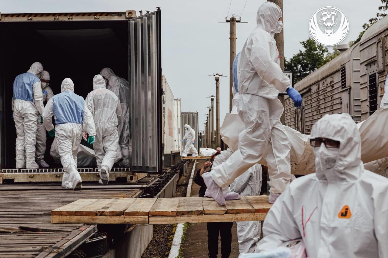 俄方移交1200具乌方人员遗体,乌方证实 俄方移交1200具乌方人员遗体,乌方证实