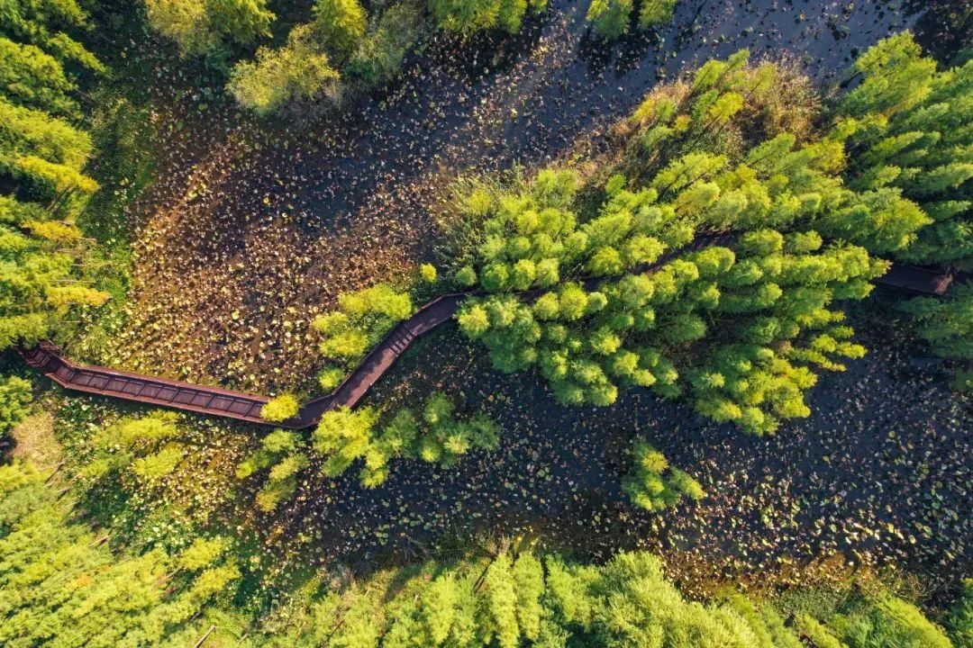这张证别弄丢！全国超多景点免费玩