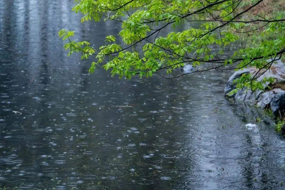 浙江结束防汛Ⅳ级应急响应!最高温冲击38℃,下一波降水在这几天 浙江结束防汛Ⅳ级应急响应!最高温冲击38℃,下一波降水在这几天