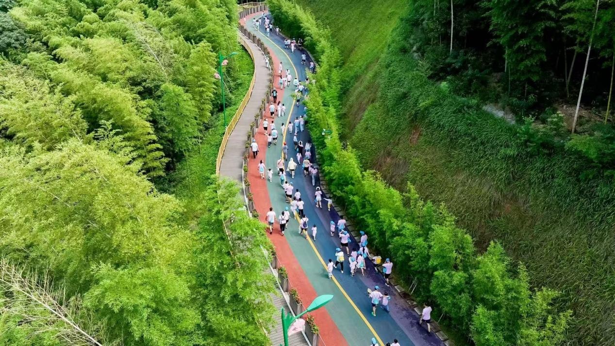 “益阳走娃”闯入竹林秘境 萌娃“小脚丫”丈量大竹海 “益阳走娃”闯入竹林秘境 萌娃“小脚丫”丈量大竹海