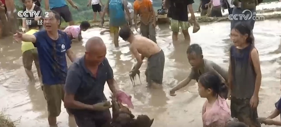 千年农耕文化尽显焕新魅力 民俗节庆点燃游客热情 撬动消费热潮 千年农耕文化尽显焕新魅力 民俗节庆点燃游客热情 撬动消费热潮