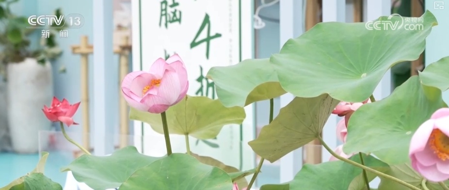 以花为媒融合“美景+科技+换新”解锁消费新体验 释放经济新活力 以花为媒融合“美景+科技+换新”解锁消费新体验 释放经济新活力