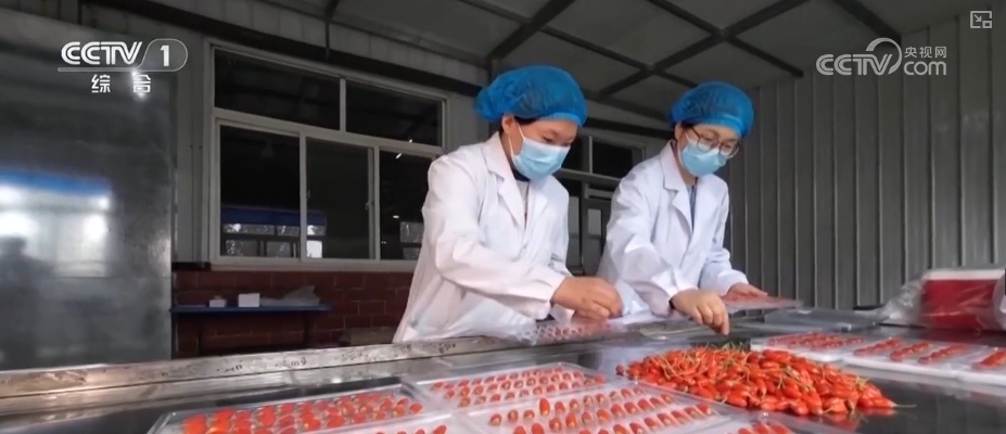 冷链物流迈入“高速时代” 消费者感受瓜果“才下枝头就上舌头”极致体验 冷链物流迈入“高速时代” 消费者感受瓜果“才下枝头就上舌头”极致体验