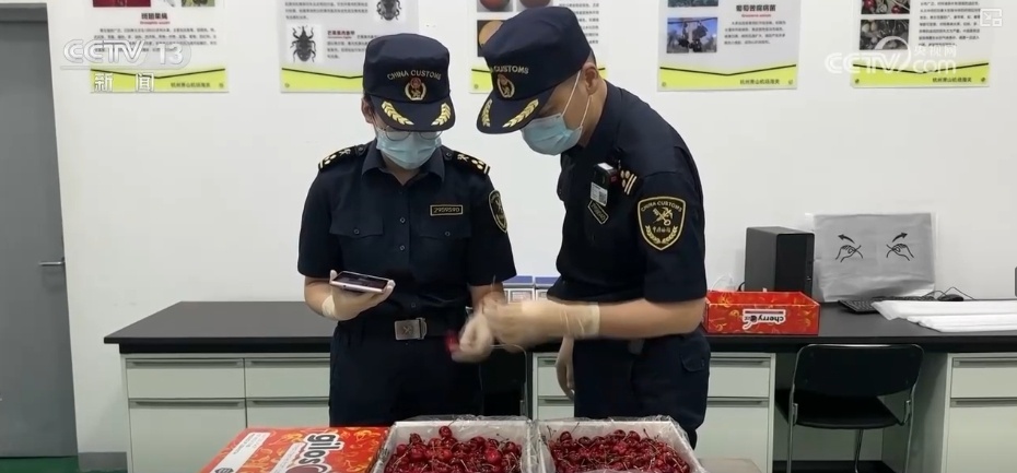 鲜果、重庆小面、汽车配件……中亚好物乘坐“钢铁驼队”跑出新机遇