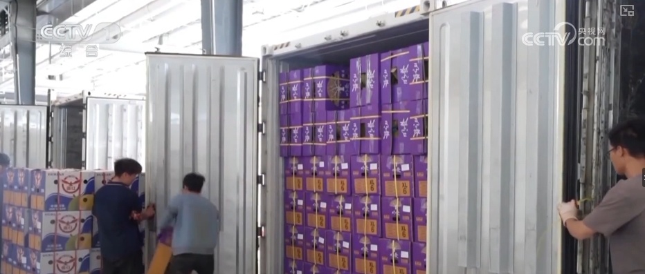 冷链物流迈入“高速时代” 消费者感受瓜果“才下枝头就上舌头”极致体验 冷链物流迈入“高速时代” 消费者感受瓜果“才下枝头就上舌头”极致体验