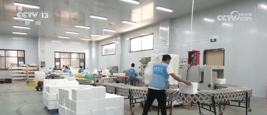 物流“大动脉”含“智”量更足 服务便捷性不断提升 物流“大动脉”含“智”量更足 服务便捷性不断提升