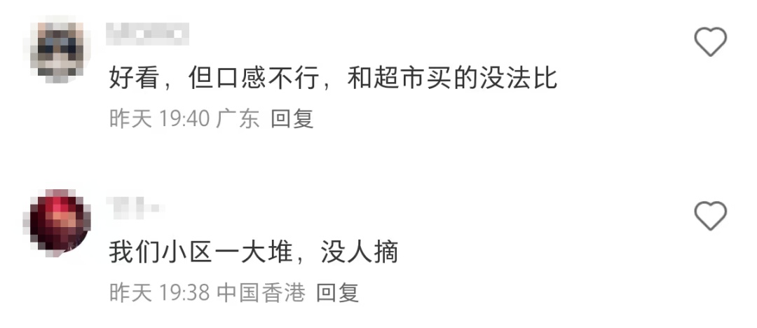 深圳莲花山公园大量出现！网友称“根本捡不完！”官方提醒